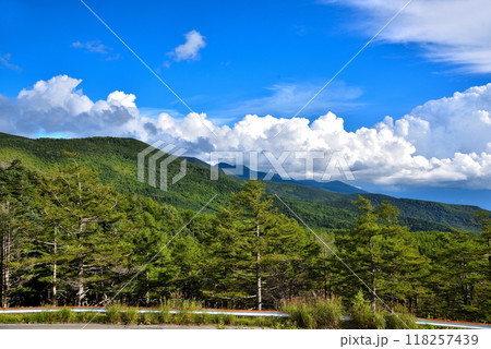 《長野県》国道299号メルヘン街道　日向木場展望台からの風景 118257439