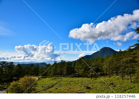 《長野県》国道299号メルヘン街道　日向木場展望台からの風景 118257446