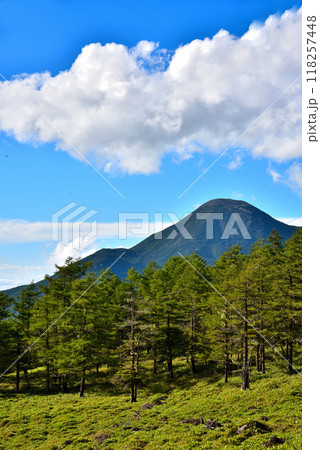 《長野県》国道299号メルヘン街道 日向木場展望台からの風景 《長野県》国道299号メルヘン街道 日向木場展望台からの風景 118257448