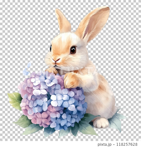 Cute rabbit with Hydrangea bouquet, watercolorのイラスト素材 [118257628] - PIXTA