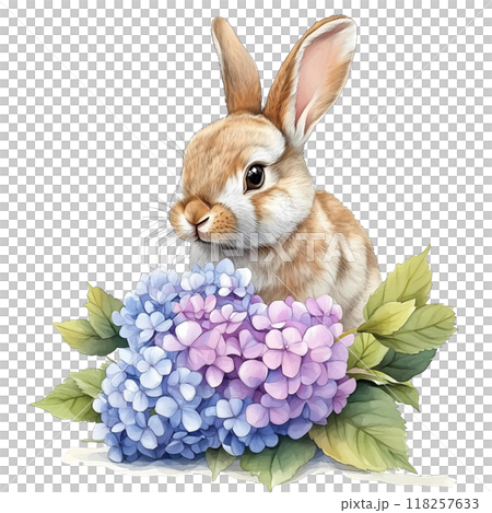 Cute rabbit with Hydrangea bouquet, watercolorのイラスト素材 [118257633] - PIXTA