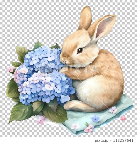 Cute rabbit with Hydrangea bouquet, watercolorのイラスト素材 [118257641] - PIXTA
