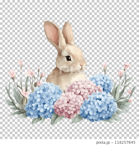 Cute rabbit with Hydrangea bouquet, watercolorのイラスト素材 [118257645] - PIXTA