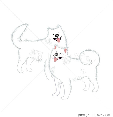 サモエド犬のイラスト サモエド犬のイラスト 118257756