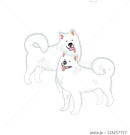 サモエド犬のイラスト サモエド犬のイラスト 118257757