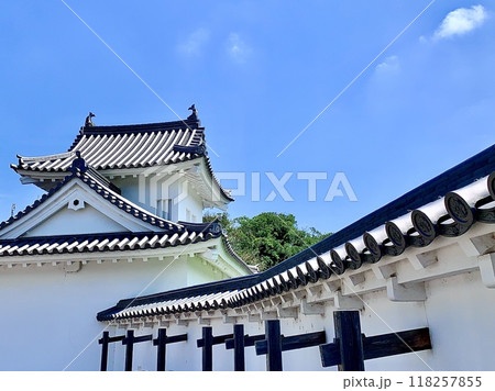 秋晴れの青空に映える岡崎城東隅櫓と控え柱のある築地塀〈岡崎城公園/愛知県岡崎市〉 秋晴れの青空に映える岡崎城東隅櫓と控え柱のある築地塀〈岡崎城公園/愛知県岡崎市〉 118257855