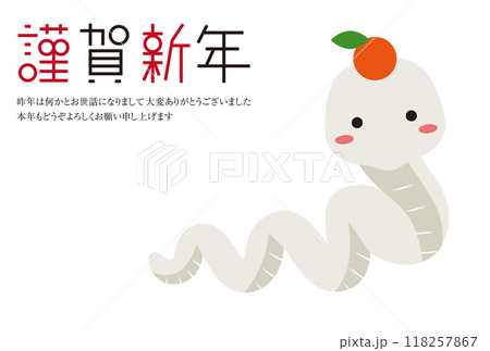 謹賀新年　挨拶年賀状　白蛇　頭にミカン 118257867
