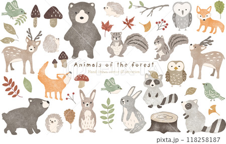 かわいい秋の森の動物たち かわいい秋の森の動物たち 118258187