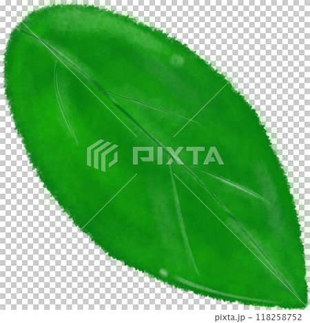 Green leaves  118258752