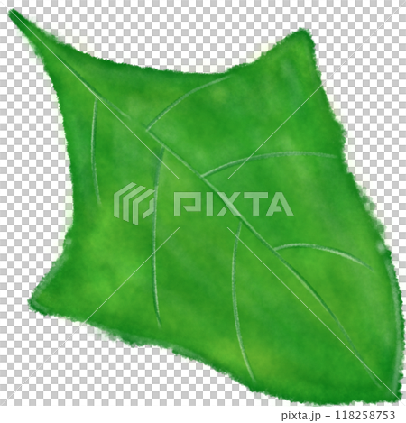 Green leaves  118258753