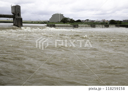大雨で増水した多摩川 開放された水門と二ヶ領上河原堰堤 大雨で増水した多摩川 開放された水門と二ヶ領上河原堰堤 118259158