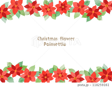 クリスマスフラワー、ポインセチアのフレームイラスト素材 118259161