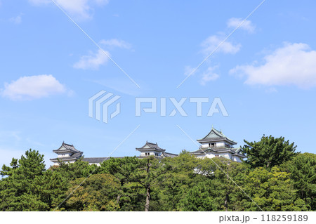 和歌山県和歌山市　秋の和歌山城 118259189