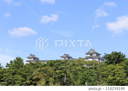 和歌山県和歌山市　秋の和歌山城 118259190