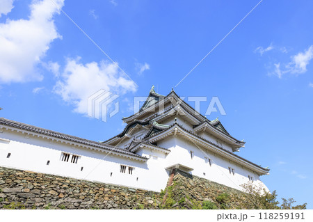 和歌山県和歌山市　秋の和歌山城 118259191