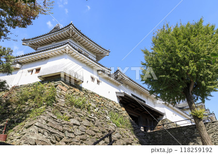 和歌山県和歌山市　秋の和歌山城　二の門と櫓 118259192