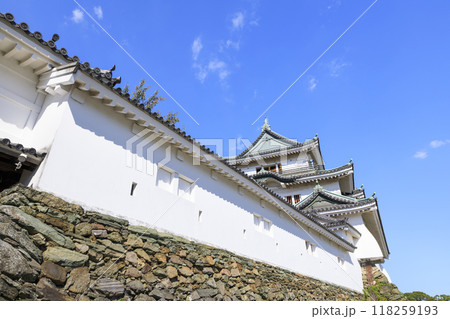 和歌山県和歌山市　秋の和歌山城 118259193