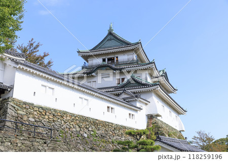 和歌山県和歌山市　秋の和歌山城 118259196