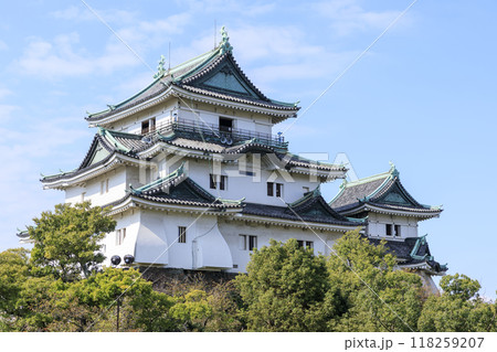 和歌山県和歌山市　秋の和歌山城 118259207