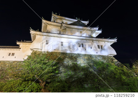 和歌山県和歌山市　夜の和歌山城 118259210