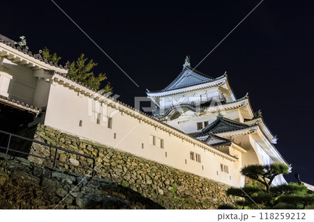 和歌山県和歌山市　夜の和歌山城 118259212