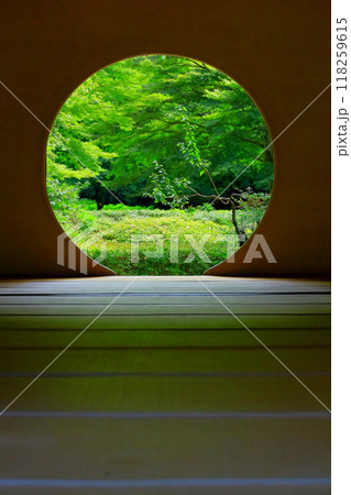 鎌倉　明月院　悟りの窓 118259615