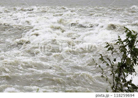 大雨で増水した川の濁流 多摩川 大雨で増水した川の濁流 多摩川 118259694