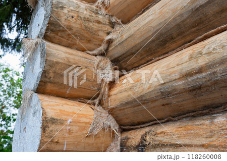 Corner of rural wooden house made of logs under construction 118260008