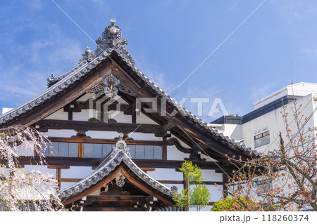 妙蓮寺　寺務所と桜　(京都市上京区妙蓮寺前町) 118260374