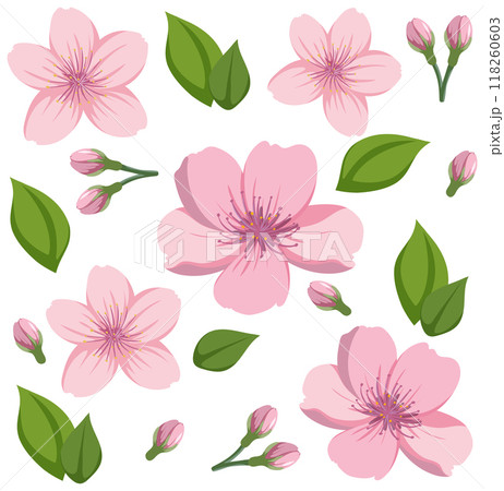 Seamless Pink Floral Pattern Seamless Pink Floral Pattern 118260603