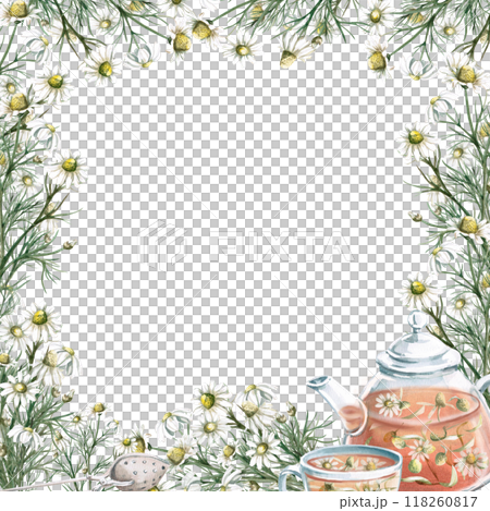 Transparent teapot with cup of chamomile tea in frame of flowers. Isolated watercolor illustration for design of herbal infusions, teas, menu of cafes and restaurants 118260817
