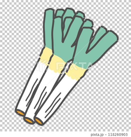 Green onion illustration Green onion illustration 118260903
