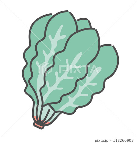 ほうれん草　イラスト 118260905
