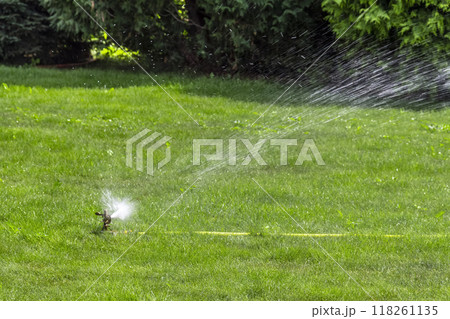 The process of irrigation 118261135