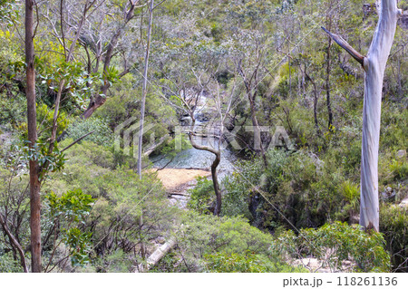 A tranquil waterway flowing through a valley in the Blue Mountains A tranquil waterway flowing through a valley in the Blue Mountains 118261136