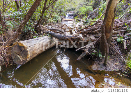A tranquil waterway flowing through a valley in the Blue Mountains A tranquil waterway flowing through a valley in the Blue Mountains 118261138