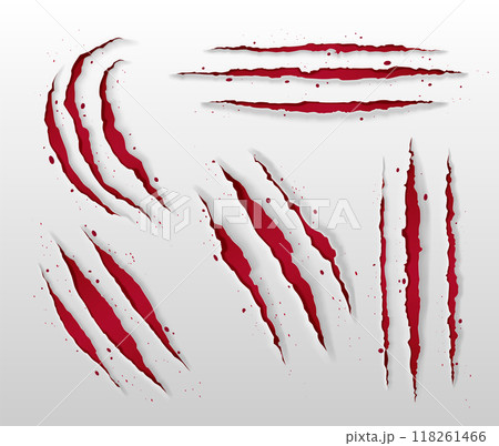Animal claw scratch mark. 118261466