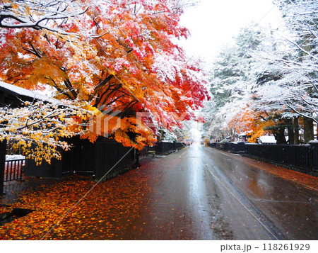 秋の角館:紅葉と雪景色を同時に堪能できる奇跡、秋の終わりと冬の訪れ 118261929