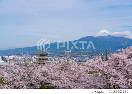 【静岡県】香貫山の満開の桜 慰霊平和塔の向こうに富士山 【静岡県】香貫山の満開の桜 慰霊平和塔の向こうに富士山 118262123