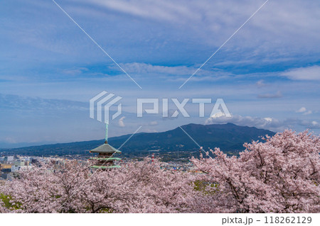 【静岡県】香貫山の満開の桜 慰霊平和塔の向こうに富士山 【静岡県】香貫山の満開の桜 慰霊平和塔の向こうに富士山 118262129