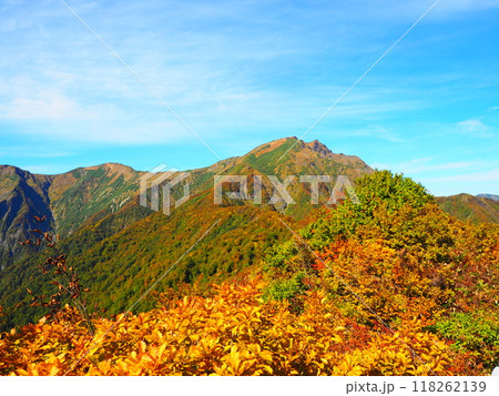 群馬の秋の名称、谷川岳の紅葉 118262139