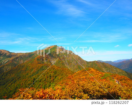 群馬観光、秋の名所、谷川岳の紅葉 118262207