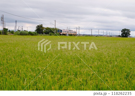 穀倉地帯を走る越後線 118262235