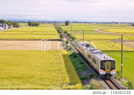 穀倉地帯を走る越後線 118262238