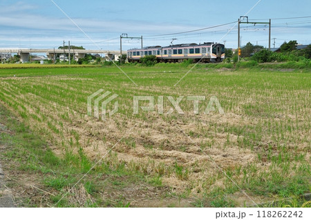 穀倉地帯を走る越後線 穀倉地帯を走る越後線 118262242