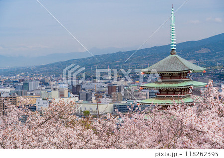 【静岡県】香貫山・香陵台、満開の桜に覆われた慰霊平和塔 118262395