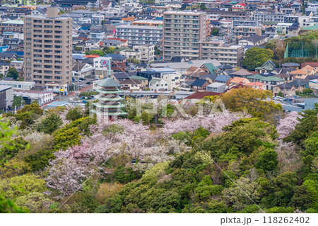 【静岡県】香貫山・香陵台、満開の桜に覆われた慰霊平和塔 【静岡県】香貫山・香陵台、満開の桜に覆われた慰霊平和塔 118262402