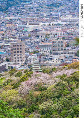 【静岡県】香貫山・香陵台、満開の桜に覆われた慰霊平和塔 【静岡県】香貫山・香陵台、満開の桜に覆われた慰霊平和塔 118262404