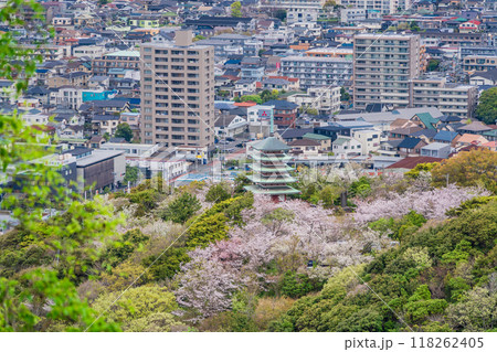 【静岡県】香貫山・香陵台、満開の桜に覆われた慰霊平和塔 118262405