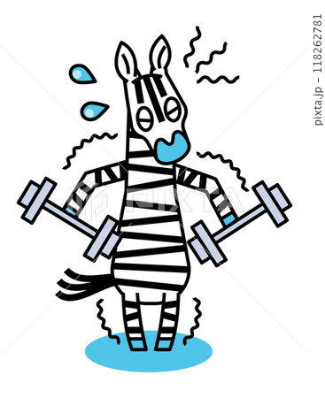 筋トレを頑張って体づくりをおこなうシマウマさん 118262781